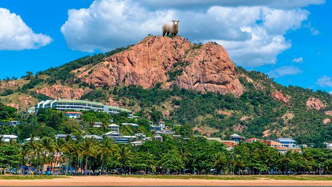 A giant sheep foot was the suggestion for Townsville.