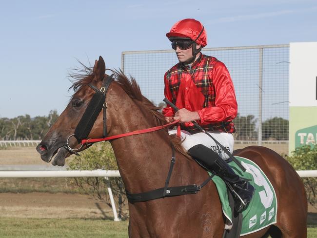 Kimberley Moon is chasing back-to-back wins at Beaumont on Monday. Photo: Bradley Photos.