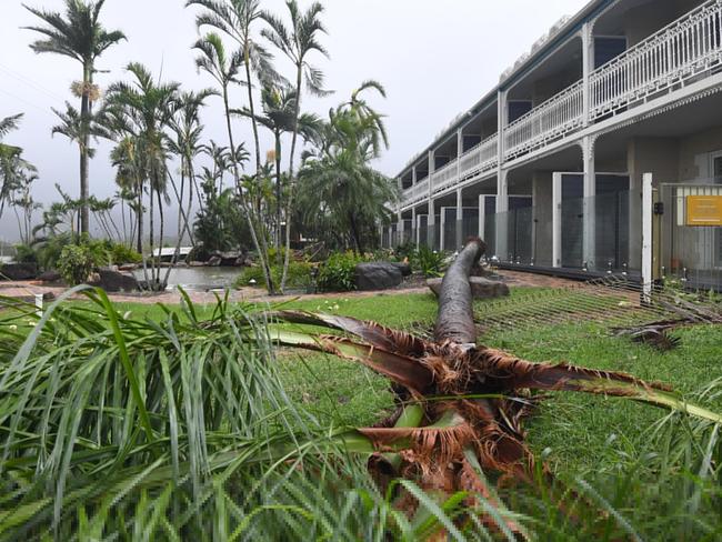 A palm tree is seen fallen behind a motel at Airlie Beach, Tuesday, March 28, 2017. Cyclone Debbie is expected hit Queensland’s far north coast as a category 4 cyclone early afternoon on today. Picture: AAP Image/Dan Peled