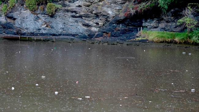 The influx of heavy rain has mixed rubbish and mosquitoes on Parramatta River. Picture: Angelo Velardo