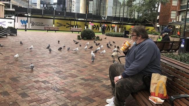 Birds outnumber humans at the square outside St John's Anglican Cathedral Parramatta.