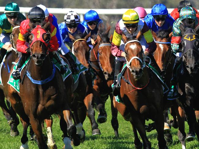 Loving home ridden by Tye Angland  (yellow cap, maroon with yellow armbands) wins race 1 during Scone  Races located in the Upper Hunter Region of NSW. The Bend . Pic Jenny Evans