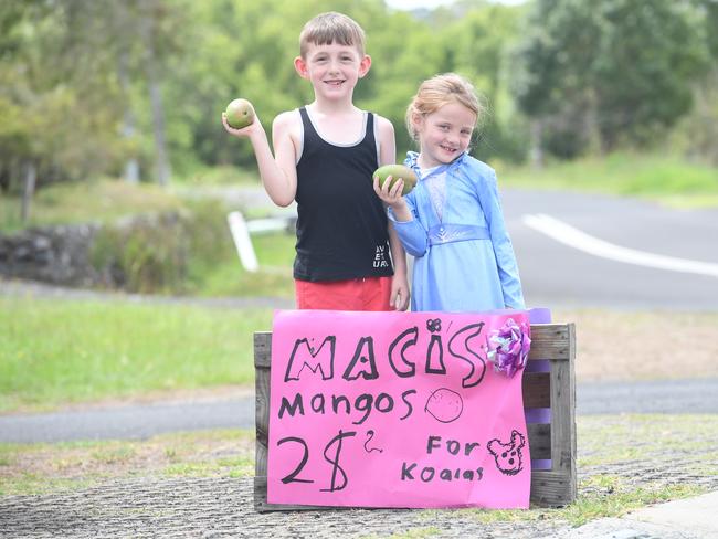 Carter McDonald, 6, Maci McDonald, 5, of Lismore Heights are selling mangoes to help the koalas affected by the bush fires.