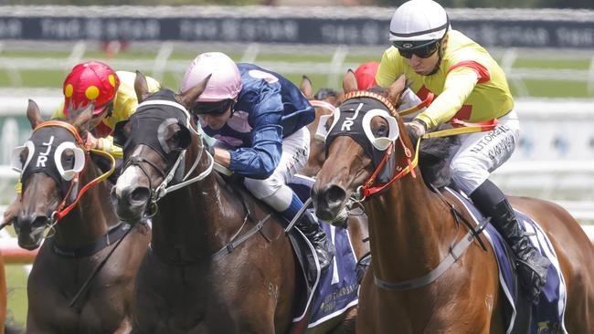 She’s All In (red and yellow cap, left) ran well behind stablemate Room Number at Randwick last week. Picture: Getty Images