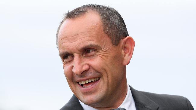 Chris Waller could have as many as five runners in the Doncaster Mile.