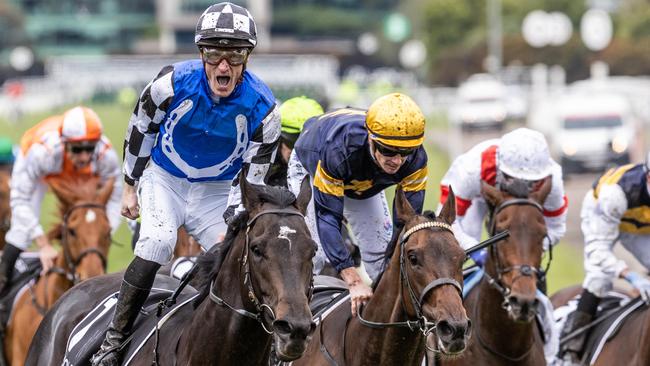 Gold Trip, ridden by Mark Zahra, wins the 2022 Melbourne Cup. Picture: Jake Nowakowski