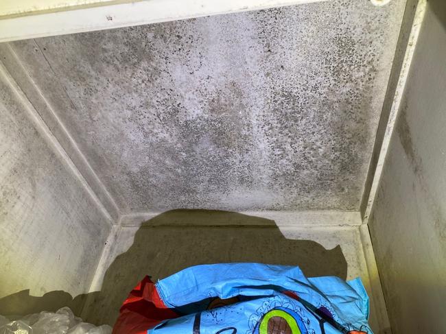 The floods, rain and humidity have contributed to an increase in mould outbreaks this year. Picture: Supplied