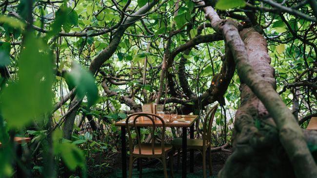 A table at The Enchanted Fig Tree, Kangaroo Island.