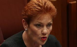 The One Nation leader claimed that young people "have no idea" and "have no understanding of politics."