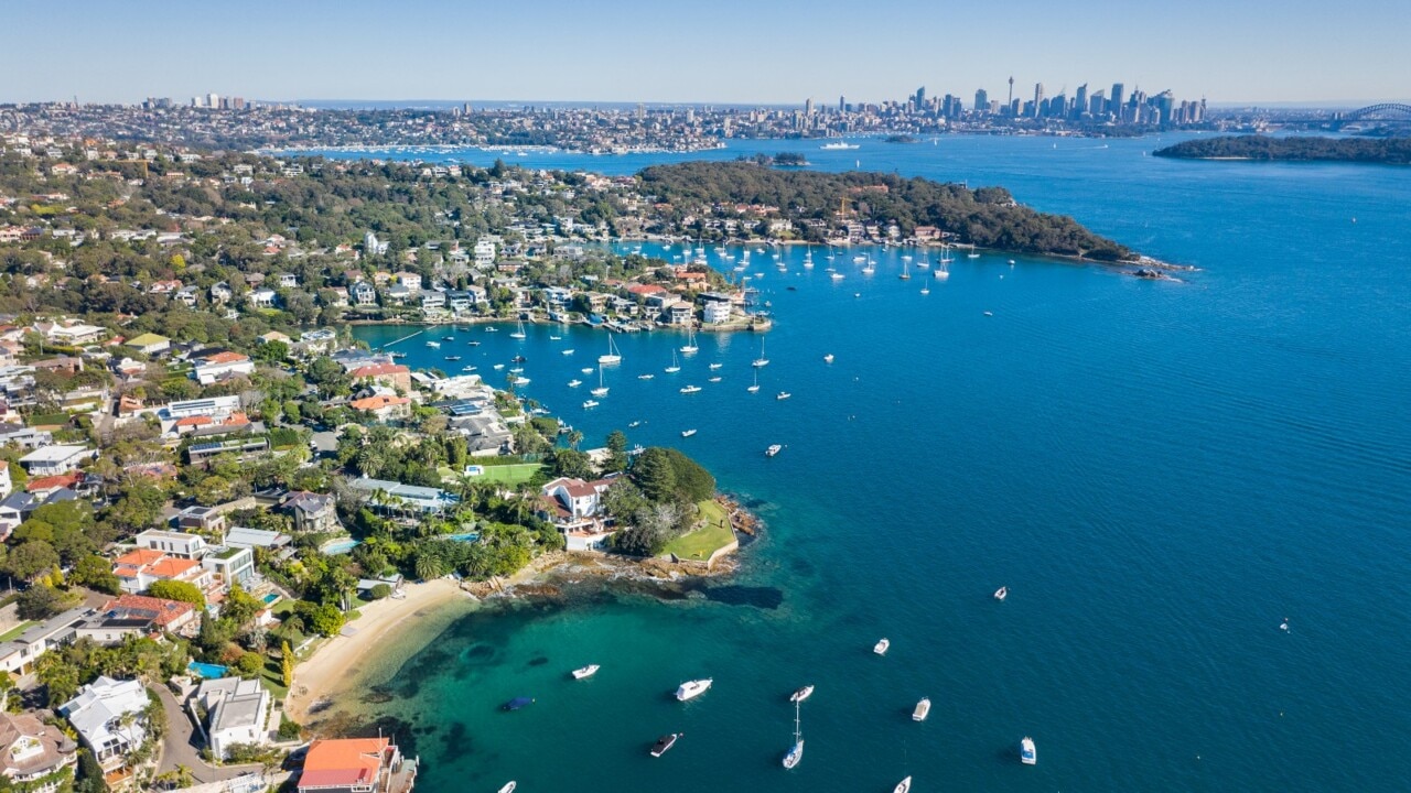 Marine expert says warmer waters attracting bull sharks to Sydney