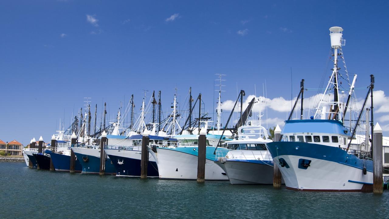 glenn richard scott allegedly breached a sanctuary rule by netting 42 tonnes of sardines near port lincoln