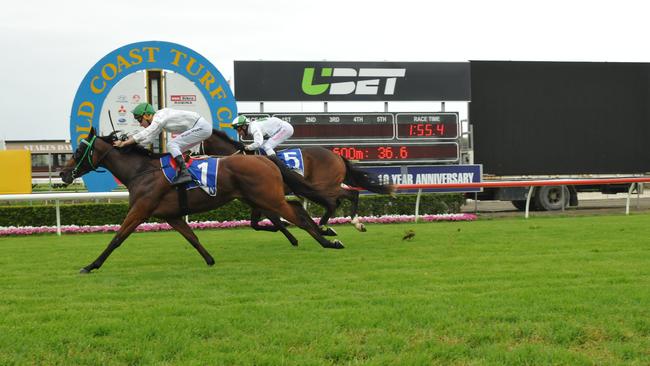 Jockey Ryan Plumb (jockey) won the Stuart James Memorial Maiden Handicap (1800m) with Barraaj on Gold Coast on Saturday, January 21, in the horse’s first win and he says he can do it again. Photo:Jessica Hawkins/Trackside Photography.