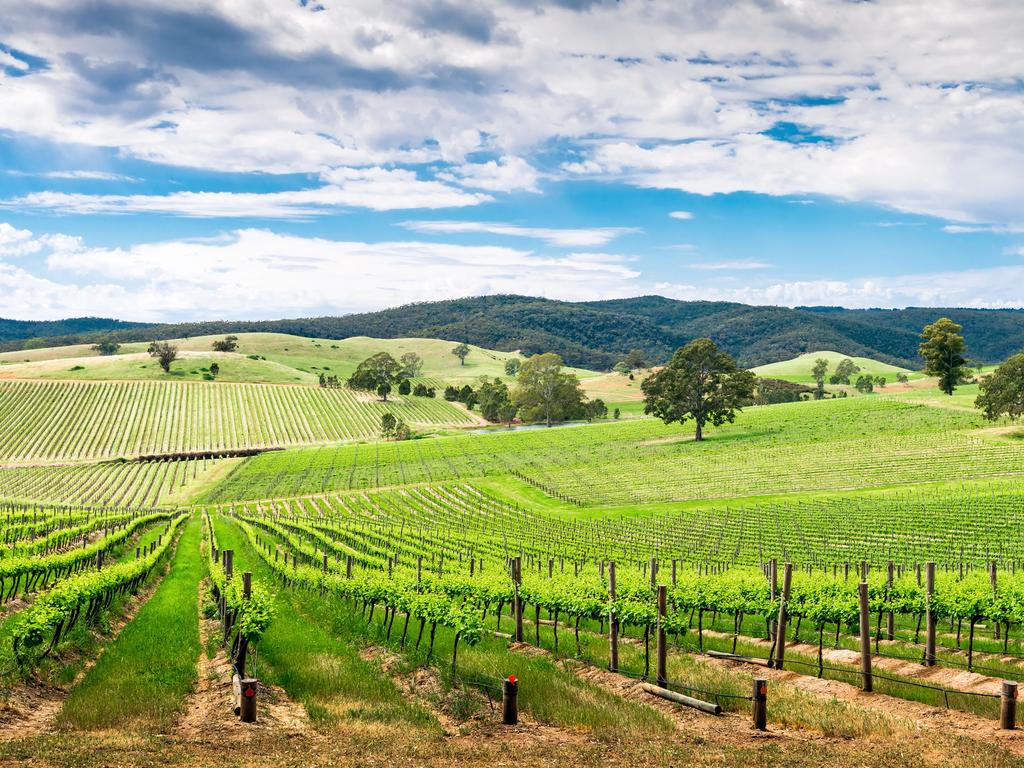 Incoming visitors from some states can enjoy South Australia – including the beautiful Barossa Valley.