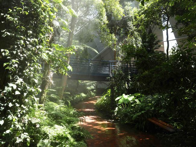 Bicentennial Conservatory at the Botanic Gardens. The entire facade of the Bicentennial Conservatory should be replaced at a cost of more than $12m owing in part to potential safety risks to the public should glass panels fail, an audit recommended. 12 January 2021. Picture Dean Martin