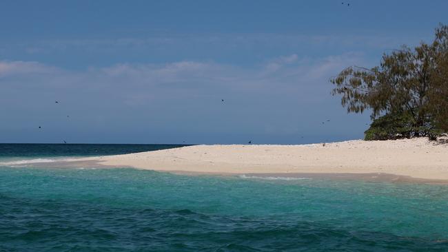 Wilson Island, about 80km northeast of Gladstone. Picture: Janelle Miles