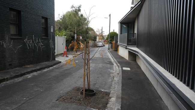 Port Phillip Council was asked to fix a pothole in the middle of a street in St Kilda but planted a tree instead. Picture: George Salpigtidis