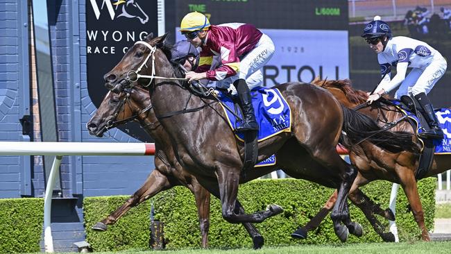 Bauhinia wins the Magic Millions 3YO & 4YO Stakes at Wyong. Picture: Bradley Photos