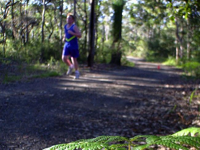 Kincumba Mountain Reserve is also part of the COSS System. Picture: ANDREW SAWATSKE