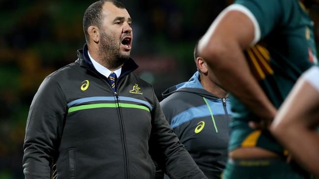 Michael Cheika of the Wallabies.