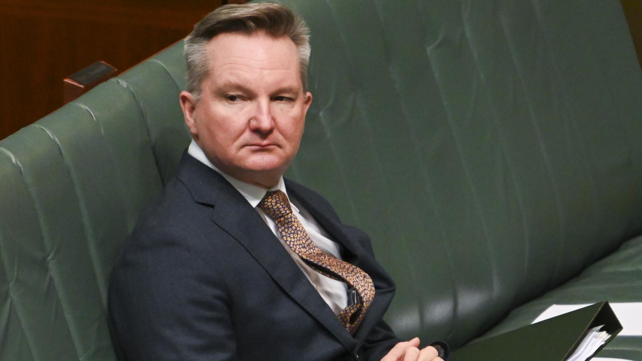 Climate and energy minister Chris Bowen met with Aunty Francis Walker in June. Picture: NewsWire / Martin Ollman