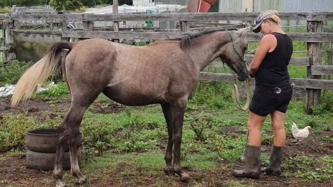 Angela Ward of AW Horsemanship in Jiggi with her ‘recovery horse’.