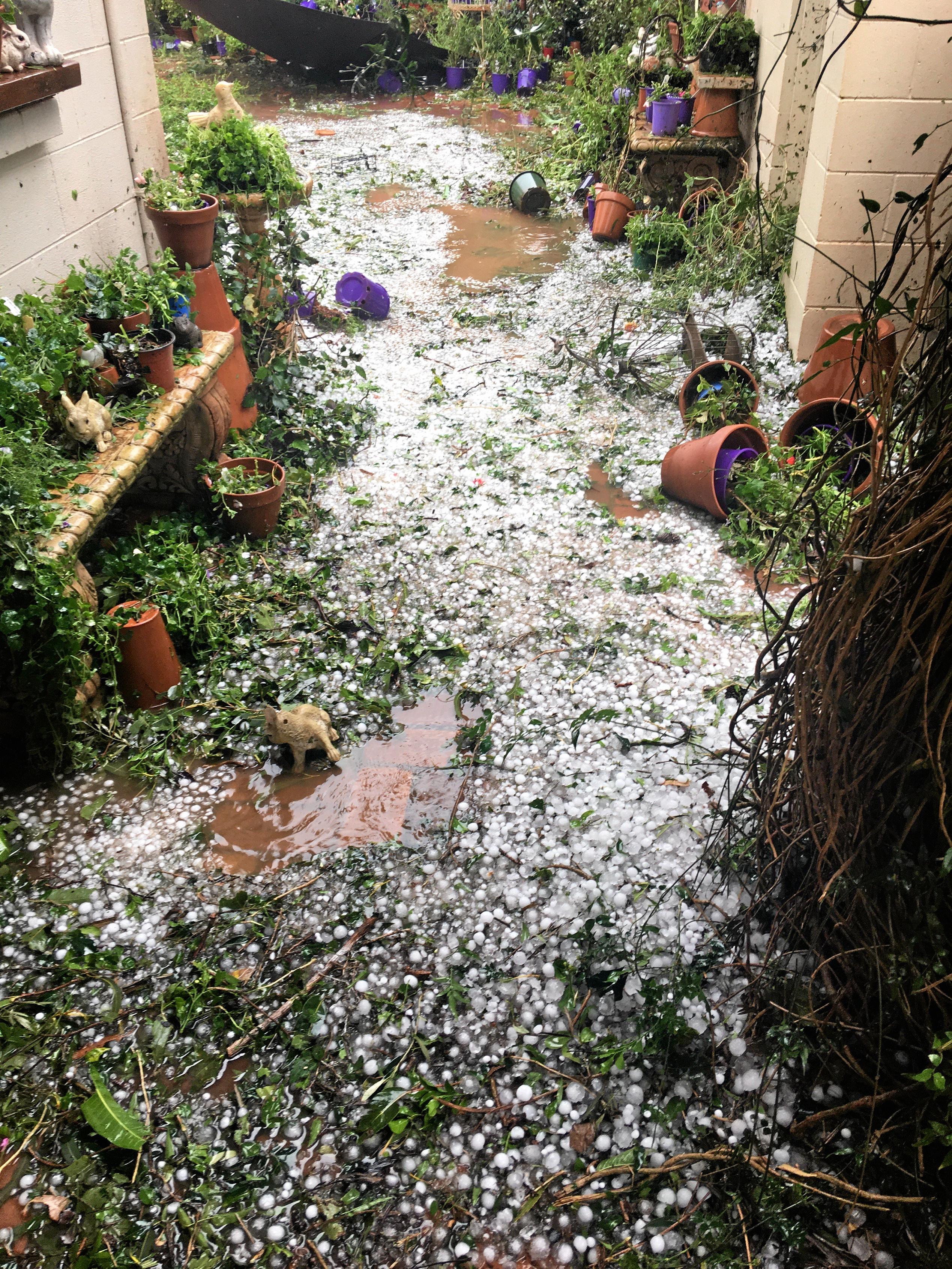 POTTED AND PUMMELED: The lavender farm took the brunt of the storm, receiving buckets of hail and broken windows before losing the roof off of the antique shed. Picture: Erin Anne Zaleski