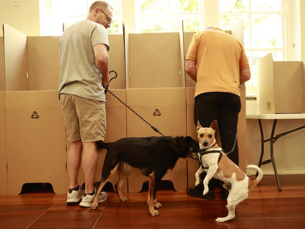 Voting underway at Balmain Public School polling station, NSW. Picture: Tim Hunter