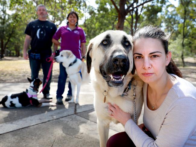 L-R Jason Nicholds with his Bull Terrier Gretel, Animal rescue volunteer Adriana Gonzalez with her Anatolian Shepherd George and Pet Journalist Caroline Zambrano with her Anatolian Shepherd Cruz pose for photographs in Baulkham Hills Baulkham Hills, Saturday, September 1st 2018. The Hills Shire Council has enforced new restrictions for pet owners meaning that if you own more than 4 dogs you could be fined. (AAP Image / Angelo Velardo)