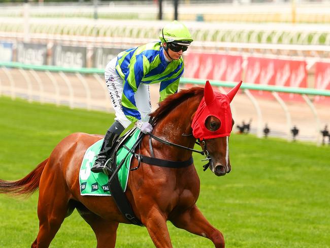 Kuroyanagi prior to running of the The TAB Vanity at Flemington. Picture: Morgan Hancock/Racing Photos via Getty Images