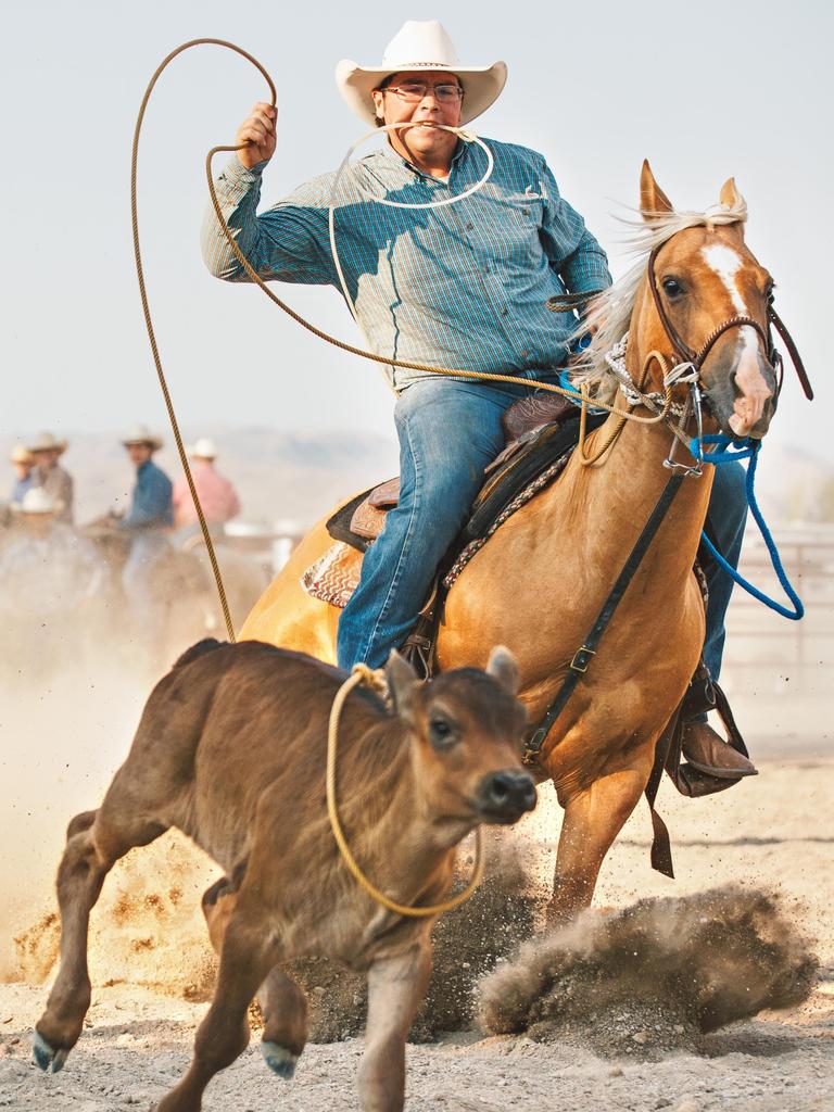 Cowboy moving at full speed roping a calf at a summer rodeo in Utah.