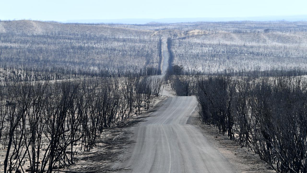 Flinders Chase National Park after bushfires swept through on Kangaroo Island this week. Picture: David Mariuz/AAP