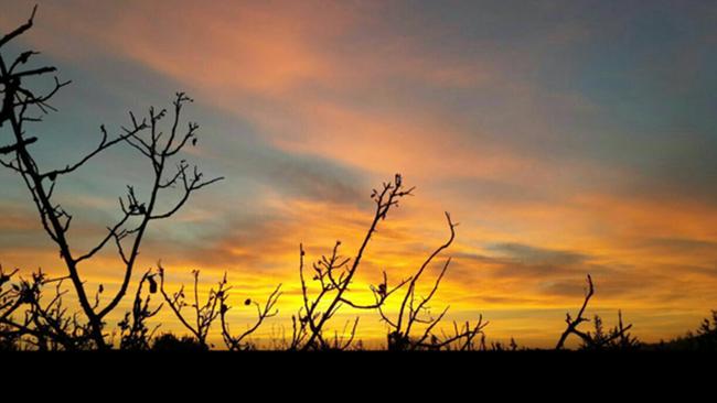 Sunsets, food ... and firearms. This picture of the sun setting in Syria was posted to the Telegram account of Shadi Jabar.