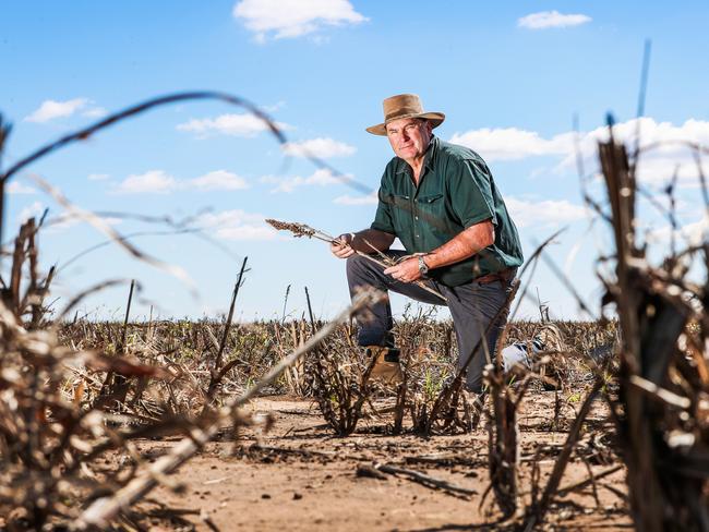 Grain grower Kim Bremner on his drought-declared property near Dalby. Picture: Nigel Hallett