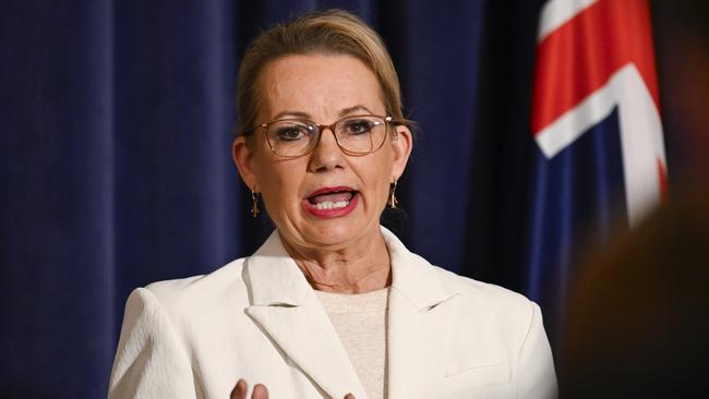 Liberal leader Sussan Ley is expected to unveil her shadow ministry this week after a Coalition deal is finalised. Picture: NewsWire / Martin Ollman