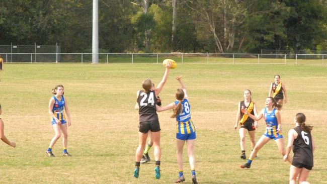 Northern Rivers Tigers kick against Wolves.