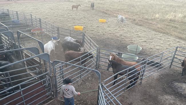 Action from the Noonamah Rodeo. Picture: Zizi Averill