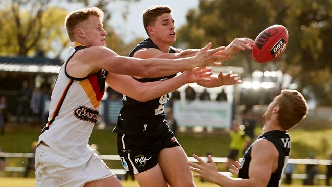 Former South Adelaide big Bryce Damin battles with Adelaide’s Reilly O’Brien. Picture: Matt Loxton