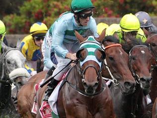  Melbourne Cup 2012 . Melbourne Cup field come out of the barriers and into the home straight for the first time .Green Moon ...