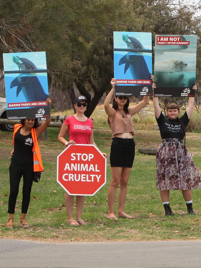 Animal Rights protestors calling for an end to the captive breeding of dolphins. Picture: Mike Batterham