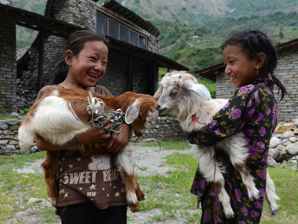 Nepalese children Juna Gurung (L) and Nati Gurung as they hold their pet goats in the grounds of The Shree Buddha Secondary School in the village of Sirdibas in Gorkha District, some 250kms north-west of Kathmandu on June 14, 2015. Picture: AFP