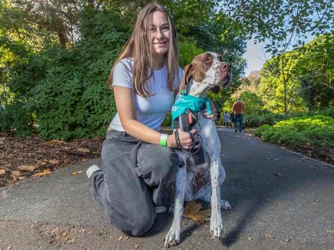 RSPCA SA's Million Paws Walk in Adelaide on May 25, 2025. Picture: Ben Clark