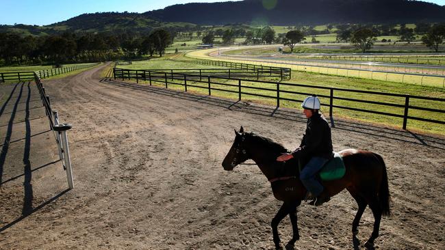 David Hayes will train horses in Hong Kong in 2020. Picture: Colleen Petch.