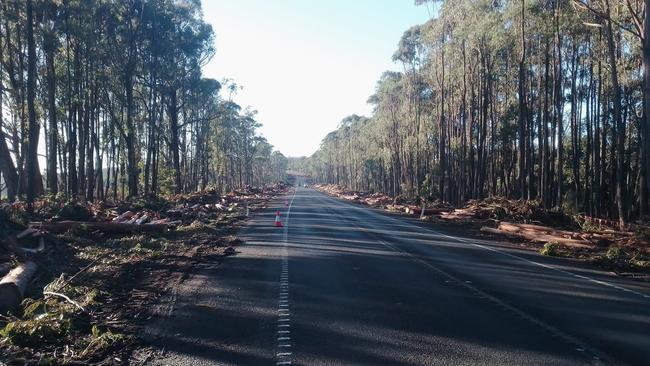 The stretch of road on the Strzelecki Hwy, once described as a "valuable wildlife corridor", had thousands of trees removed as part of project to construct an overtaking lane and right turning lane. Picture: Facebook/Shaun Causer