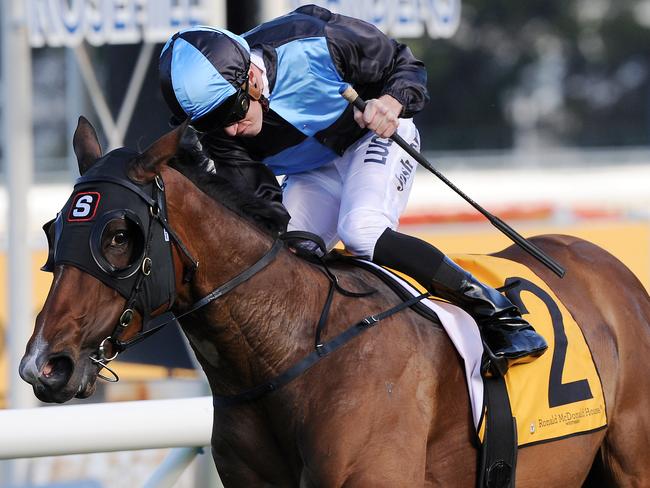 Tycoon Tara and Joshua Parr combine to salute late last month. Picture: Simon Bullard