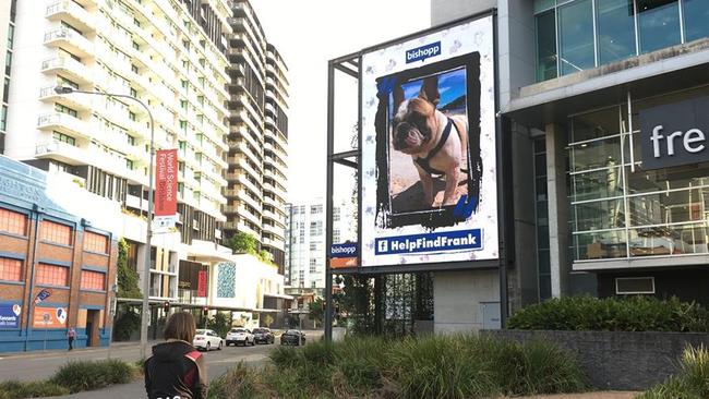 Advertising company Bishopp also donated to the cause, putting digital ads up in Fortitude Valley and Ipswich. Picture: Facebook