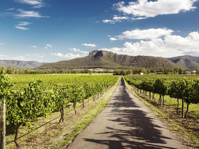 View of Hunter Valley vineyards. Picture: Istock