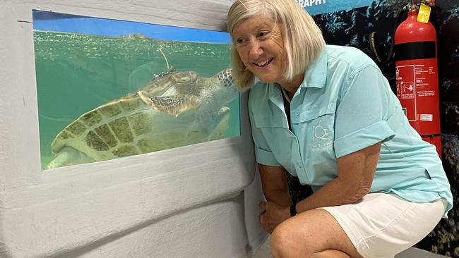 Cairns Turtle Rehabilitation Centre (CTRC) co-founder and James Cook University turtle researcher Jennie Gilbert with green turtle Leila, who is wearing a satellite tracker and will be released to the ocean in coming months.