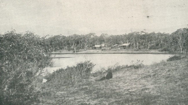 Moore Park, Bundaberg, 1927. A picturesque spot with beaches free from dangerous currents and a park featuring a lagoon, store, and spaces for surfing, bathing, and athletic events. Source: The Burnett and Isis Pictorial via Centre for the Government of Queensland