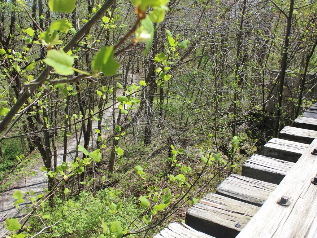 The path that the killer forced the girls to march down near Delphi, Indiana in February, 2017. Picture: LH/ Google.