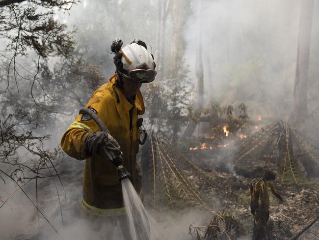 Bush fires January 2019 Tasmania. Huonville volunteer Tom Andrews fights a fire within the rainforest near the Tahune area. Picture: WARREN FREY/TFS